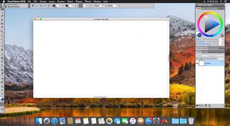 Corel Painter 2025 Serial Number
